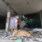 Un perro no quiso abandonar su casa, pese al nivel de los daños.