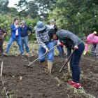 Los vecinos siembran una variedad de verduras y hortalizas