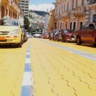 Los vecinos siembran una variedad de verduras y hortalizas