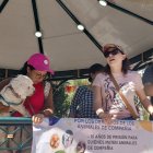 Grupos defensores de los animales de compañía realizaron un plantón para exigir cambios en la normativa vigente sobre el cuidado y protección de perros y gatos.