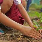 El objetivo principal de esta celebración es sensibilizar a la población sobre temas ambientales clave