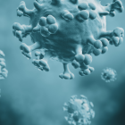 Aún no hay detalles del primer paciente que murió a causa de este virus.