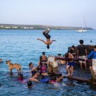 Turistas visitan el Parque Nacional Galápagos el 10 de marzo de 2024 en la isla Santa Cruz, Galápagos.