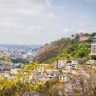 La perla del Pacifico es el epicentro de dinámicas actividades.