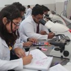 Referencial. Un grupo de estudiantes de Ciencias Médicas durante una clase en un laboratorio.