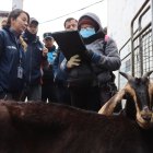 La AMC emitió tres actas de advertencia contra los tutores.