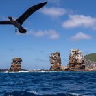 La isla Darwin, la más al norte del archipiélago Galápagos (Ecuador).