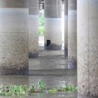 Daños. De los más de 60 pilares que sostienen este puente, 10 de ellos tienen huecos, que permiten observar las vigas y metales que forman su esqueleto.