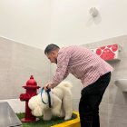 Quito. Un baño para mascotas en Ciudad Comercial El Recreo.