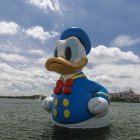 El pato Donald tiene una trayectoria vital digna de conocer, y unas peculiaridades que le hacen muy especial.