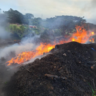 Km 27 vía a la Costa. Alerta de Incendio Forestal Moviliza Amplio Operativo de Respuesta.