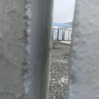 La puerta del segundo contenedor, el cual no refrigera hace 22 días, está entreabierto. En él hay cadáveres en estado de descomposición.