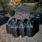 Incautan cocaína valorada en 75 millones de dólares.