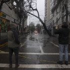 Un hombre observa un árbol caído debido a las fuertes lluvias, este jueves en Valparaído (Chile).