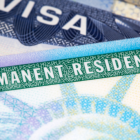 Referencial. Green card.