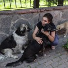 Birsen Ertana, amante de los animales, mascotas perros callejeros frente al autobús veterinario móvil del municipio de Estambul