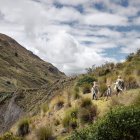 E Gobierno Nacional oficializó la nueva mara país vía decreto ejecutivo, pero a muchos no le pareció un momento adecuado.