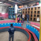 Al menos 24 aves estaban en jaulas.