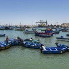 La pesca en Perú tuvo un gran desempeño en 2024.