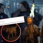 La escena del perro en el primer capítulo de House of he dragon generó distintas reacciones en redes sociales.