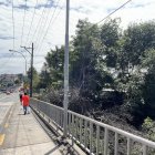 Afectación. El manglar ha sido talado y reducido a favor de edificaciones, alterando el ecosistema y perjudicando al medio ambiente y a la ciudad.