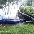 PARQUE FORESTAL..... FD MIGUEL CANALES... 18.06.2024