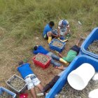 Robo.- Una de las bandas detenidas por asaltar en las carreteras de Ecuador.