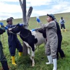 Las revisiones médicas incluyen desparasitación, vacunación y tratamientos para enfermedades comunes.
