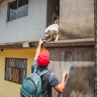 Voluntarios del Proyecto Ánimal de Pastaza recorren identificando a las mascotas abandonadas y en vulnerabilidad.
