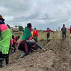 En los sectores rurales se realizan los huertos orgánicos por parte de la Municipalidad de Latacunga.
