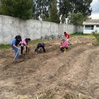 Huertos. Con ellos se apunta a mejorar la alimentación y revertir el problema.