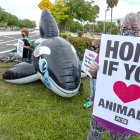 Miami. Personas protestas en las afueras del Miami Seaquarium.