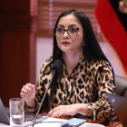 La sesión del pleno de la Asamblea Nacional fue virtual y dirigida por la primera vicepresidenta, la correísta Viviana Veloz.