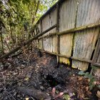 Suelo amazónico del bloque 16 en la provincia de Orellana que está manchado de petróleo.