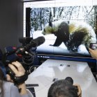 El número de pandas, que en 2016 pasaron de ser especie en peligro a especie vulnerable, ha crecido de forma sostenida en los últimos años,