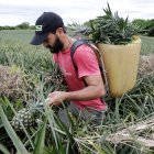 Esta iniciativa busca cumplir con el plan de descarbonización de la nación.