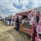 Los varios stands de comida ofrecen diversidad de platos y bebidas asiáticas y temáticas