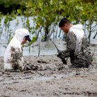 Hecho. Los manglares de El Morro son los que tienen mayor influencia en el océano Pacífico.