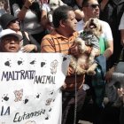 Los ciudadanos que participaron en la marcha rechazaron la eutanasia que ha aplicado la Unidad de Bienestar Animal (UBA) a los animales rescatados.