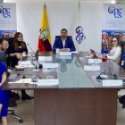 Un impasse se generó luego de la sesión del Consejo de Participación, en la continuación de la reunión, pero de forma virtual.