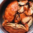 El proyecto de Ley Protección Animal fue presentado por la Defensoría del Pueblo.