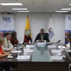 El Consejo de Participación Ciudadana y Control Social (Cpccs).