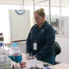 La publicación concluyó