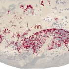 Imagen del Panel de arte rupestre fechado en Leang Karampuang. Imagen cedida por la Universidad Griffith, en Australia.