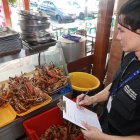 Arcsa inspeccionó un total de 20 cangrejales.