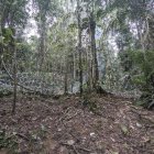 Operativo. Una de las zonas cercadas en la zona del Darién (Panamá).