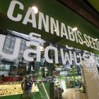 Un local de Royal Queen Seeds que ofrece cannabis en Bangkok, donde tras dos años de la despenalización del consumo de marihuana el gobierno pretende prohibir el uso lúdico.