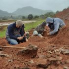 El dinosaurio es uno de los más antiguos descubiertos en el mundo y que quedó expuesto tras las graves inundaciones de mayo en la región.