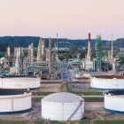 La firma chilena prevé hacer su inversión en cinco años.