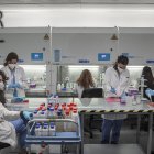 Un grupo de mujeres realiza parte de su trabajo científico.